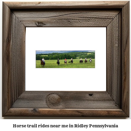 horse trail rides near me in Ridley, Pennsylvania